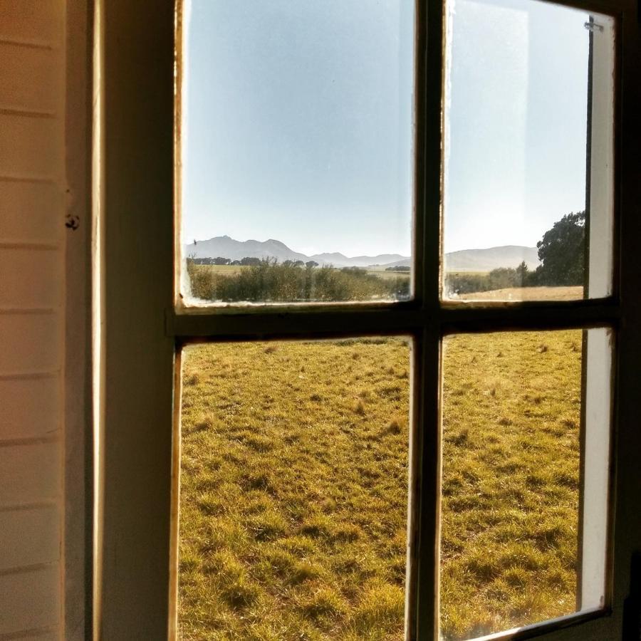 Vittorio, En Llohue Villa บียาเบนตานา ภายนอก รูปภาพ